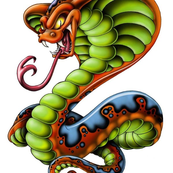 Змеи рисунки красивые