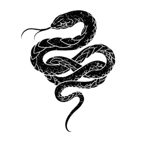 Тату змеи на белом фоне