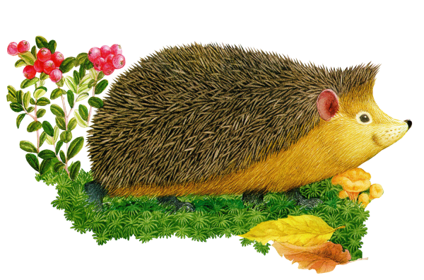 Юлия неприятель художник картины Ежи