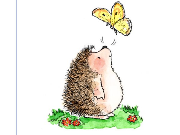 Ежик скетчинг