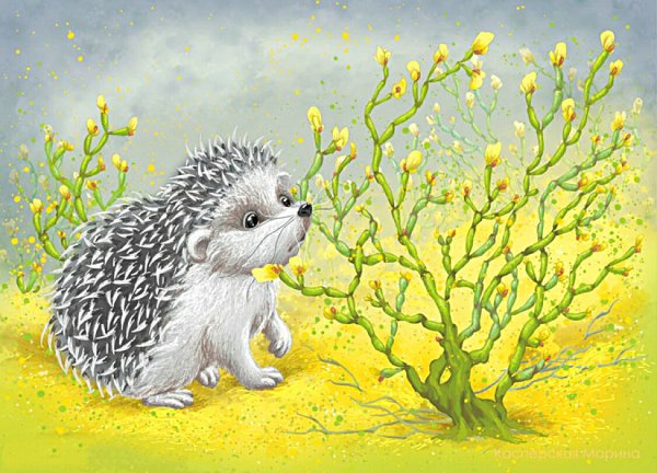 Раскраска Ёжик