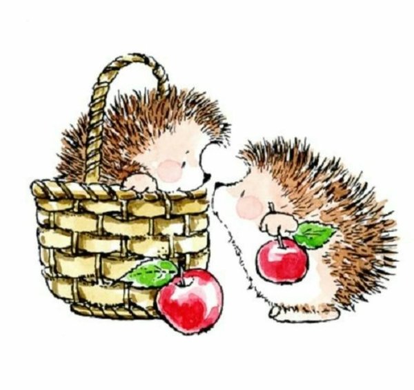 Еж на белом фоне