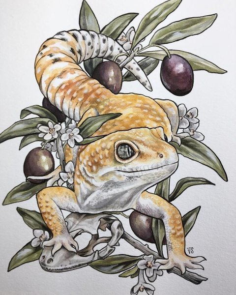Зарисовки ящериц