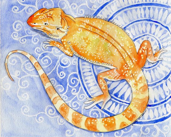 Ящерица гуашью