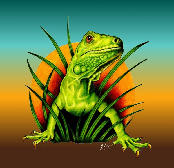 Ящерица в очках