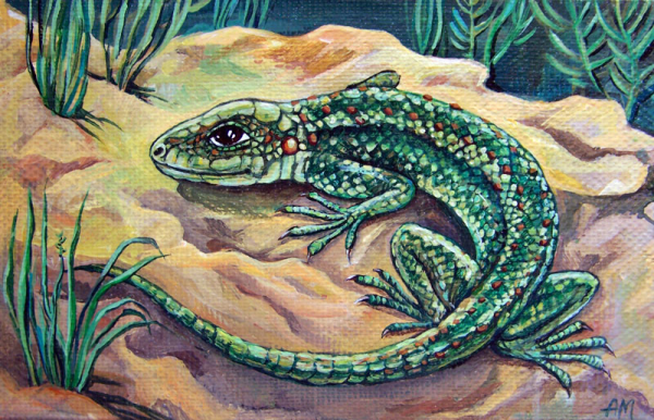 Полинезийская Татуировка ящерица