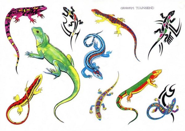 Ящерица гуашью