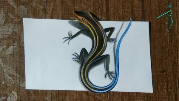 Тату ящерица эскизы для девушек