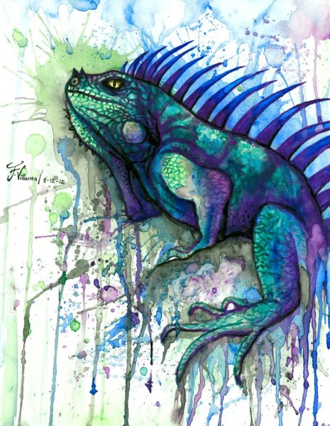 Роберто Риццо рисунки на камнях