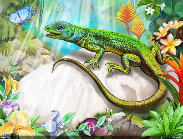 Хамелеон цветной Зентангл