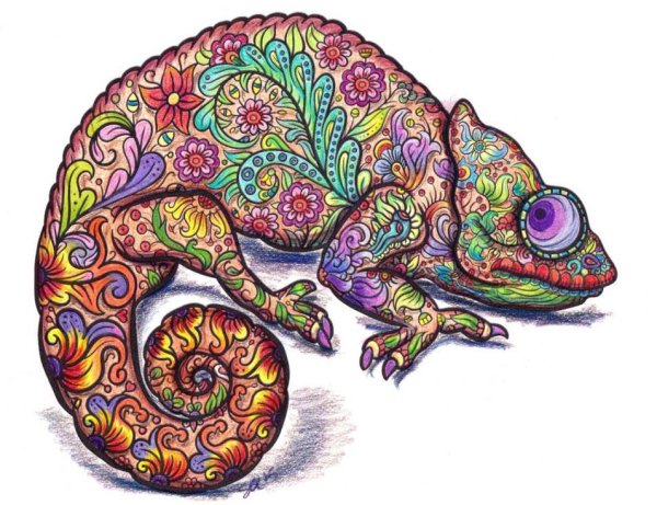 Трафарет ящерицы