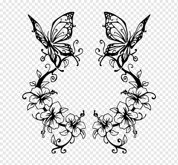 Орнамент бабочки