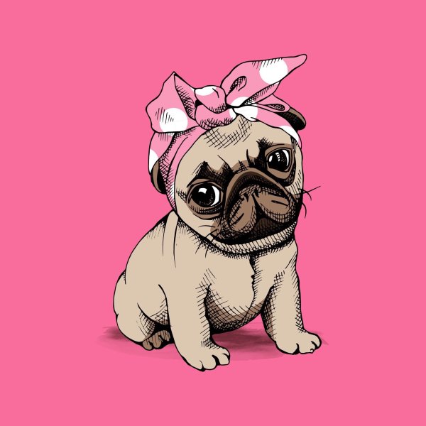 Мопс на розовом фоне