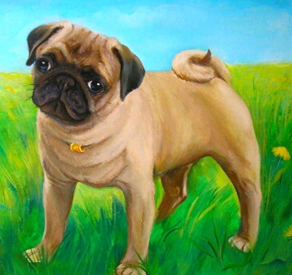 Мопс живопись