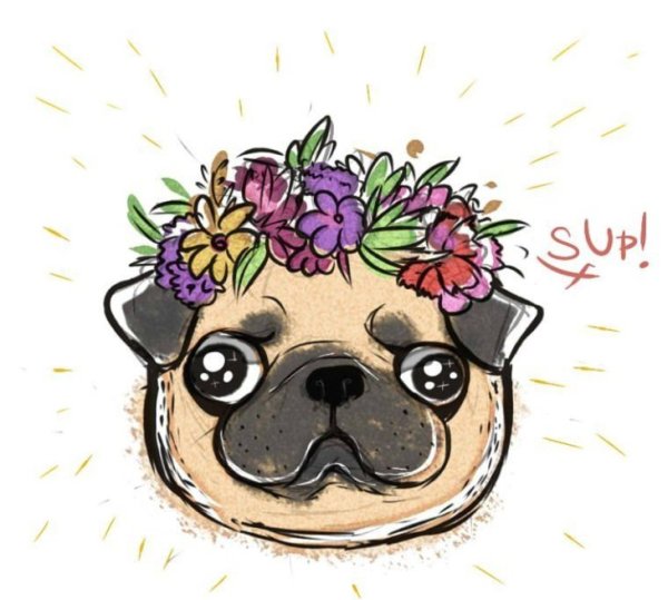 Мопсик для срисовки
