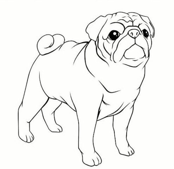 Картинки собак для срисовки