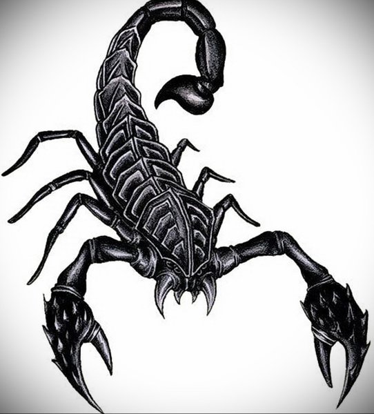 Скорпион силуэт