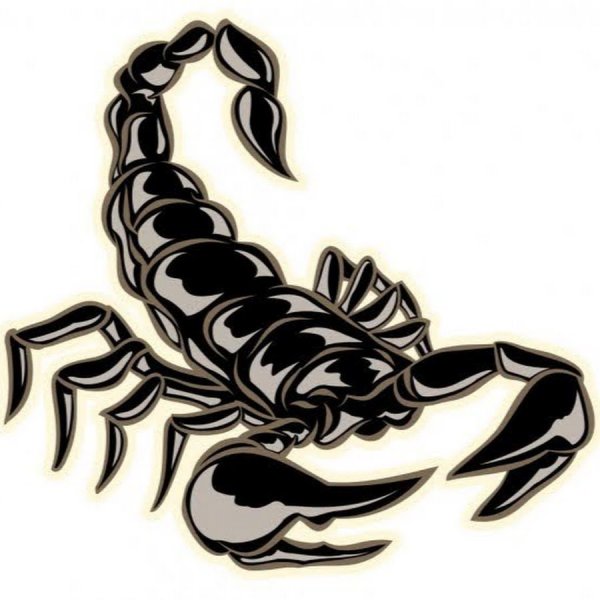 Скорпион трайбл