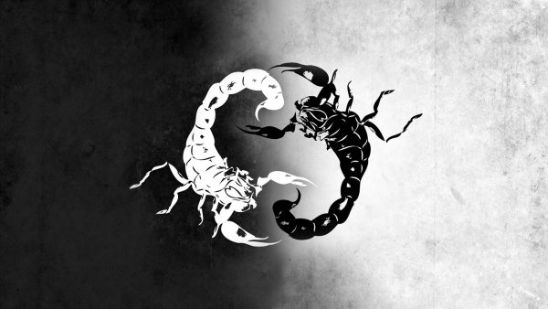 Скорпион трафарет