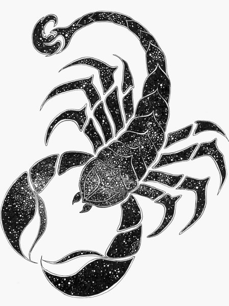 Тату надпись Скорпион