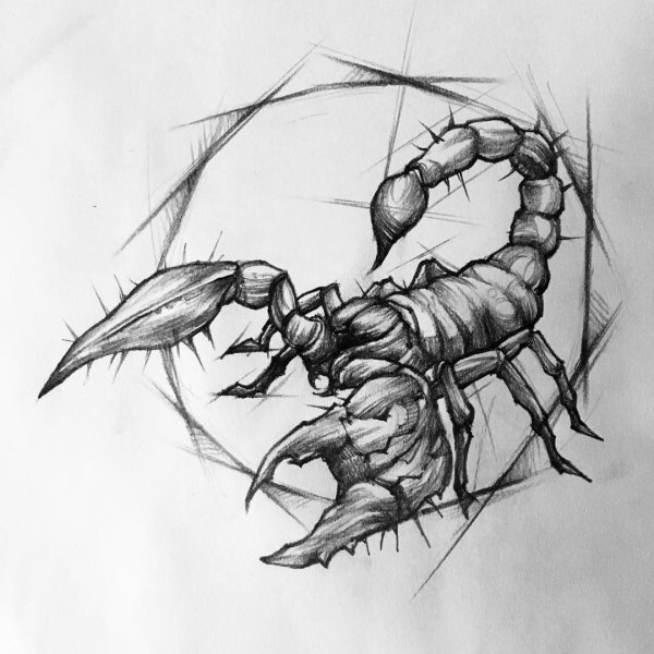 Скорпион знак