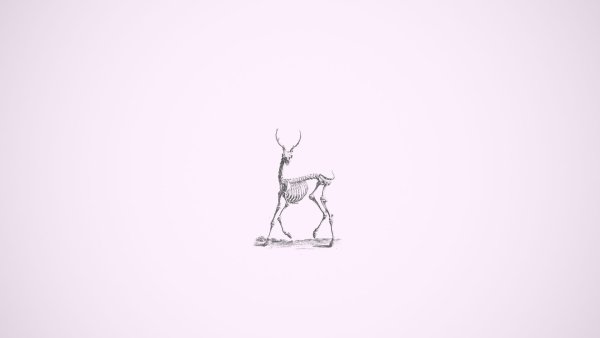 Открытка Минимализм