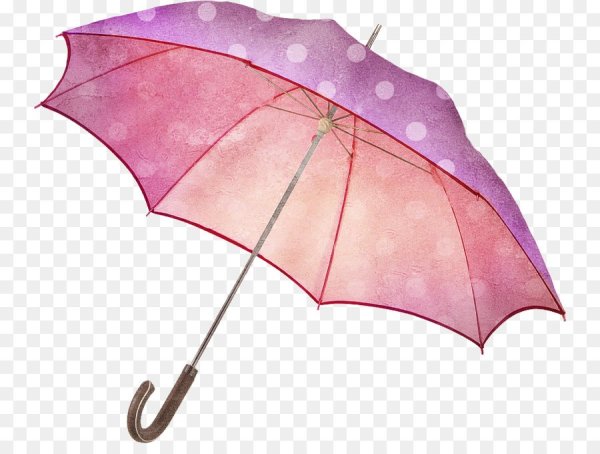 Зонт на прозрачном фоне