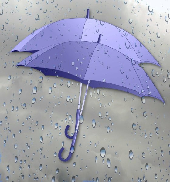 Дождик и зонтик