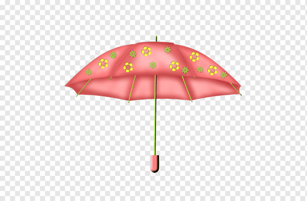 Цветы в зонтике на прозрачном фоне