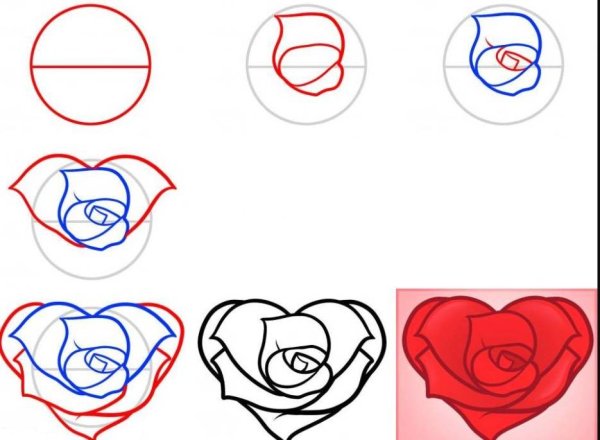 Поэтапное рисование розы