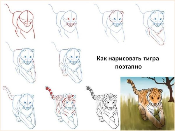 Тигр картины художников