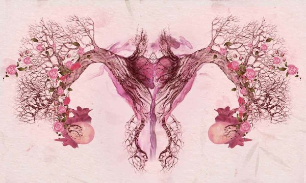 Матка цветы