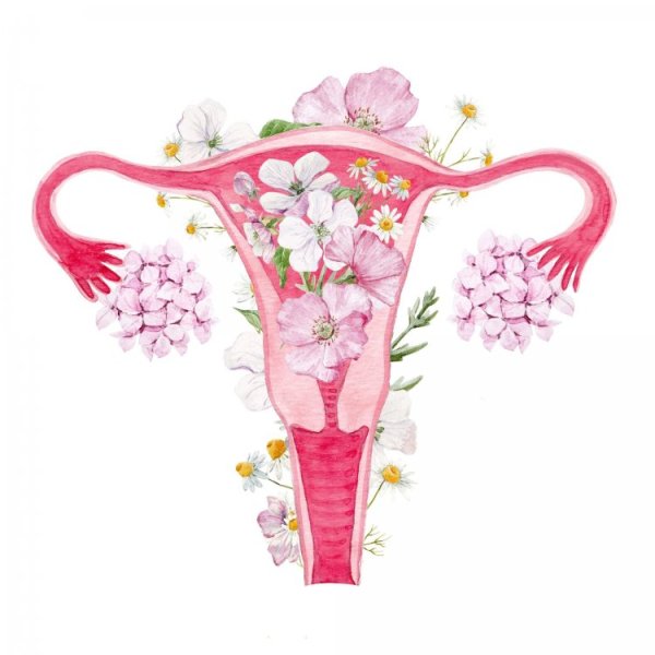 Матка с цветами