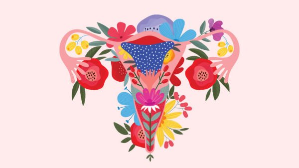 Женские органы в виде цветов