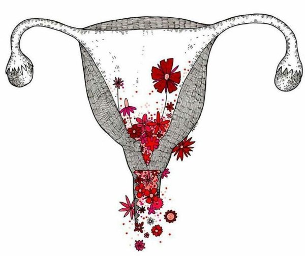 Матка нарисовать