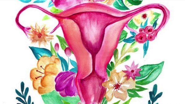 Гинекология цветок