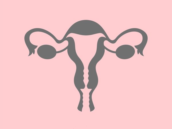 Гинекология пиктограмма