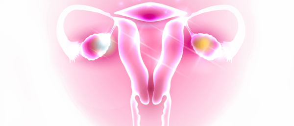 Гинекология фон