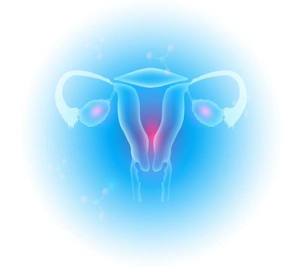 Красивая матка