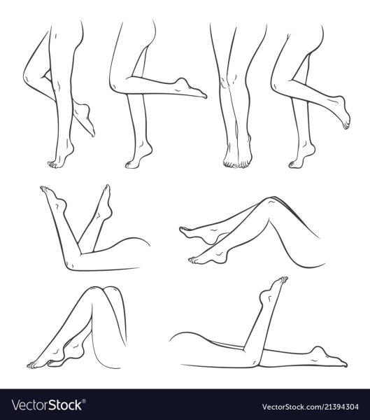 Женские ноги вектор