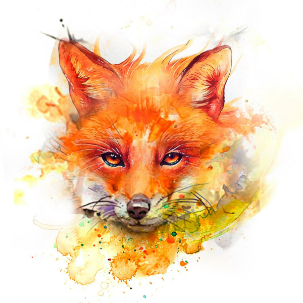 Лисы акварелью