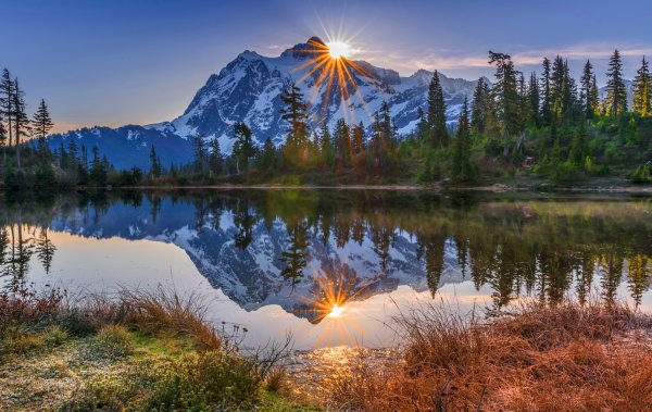 Корейский художник Kang Jung ho цветы