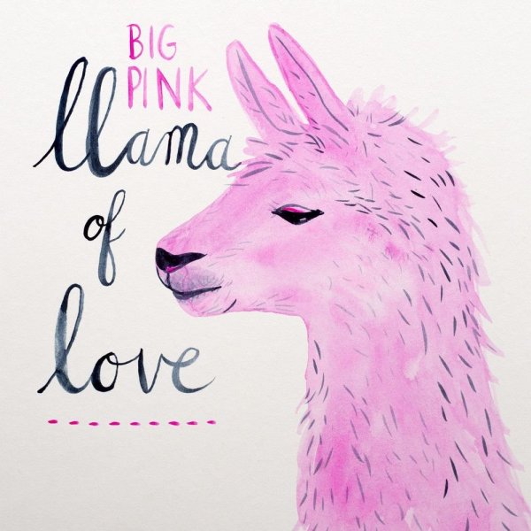 Лама для срисовки