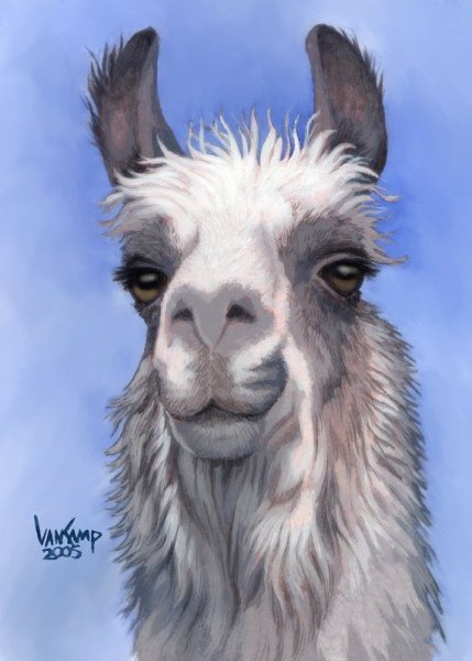 Лама альпака арт