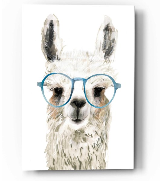 Лама в очках