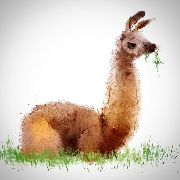 Ламы альпаки акварель