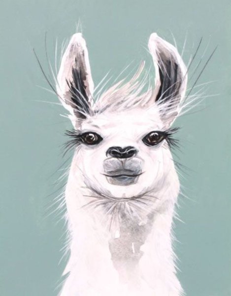 Лама арт