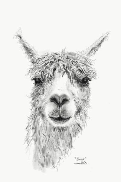 Лама набросок