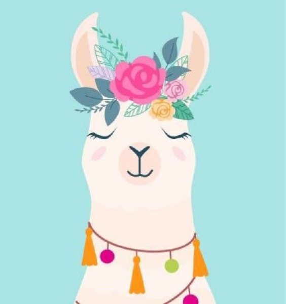Лама рисунок