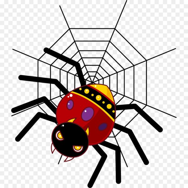 Паук мультяшный на прозрачном фоне